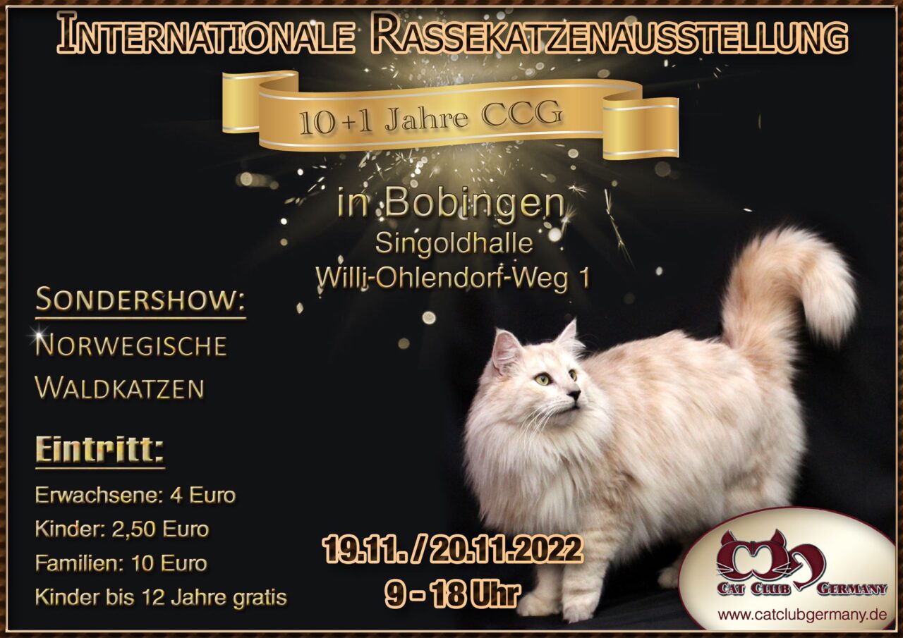 Ausstellungen Cat Club Germany