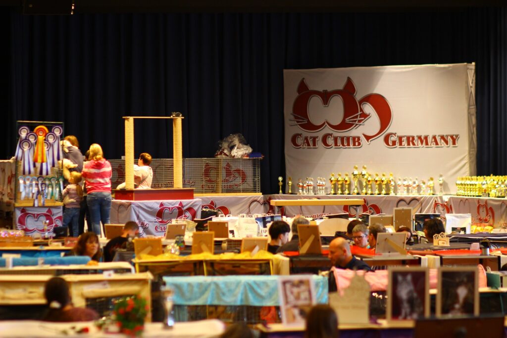 Ergebnisse Cat Club Germany