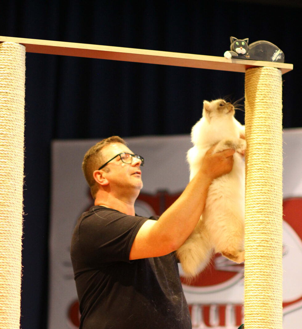 Cat Club Germany Cat Club Germany