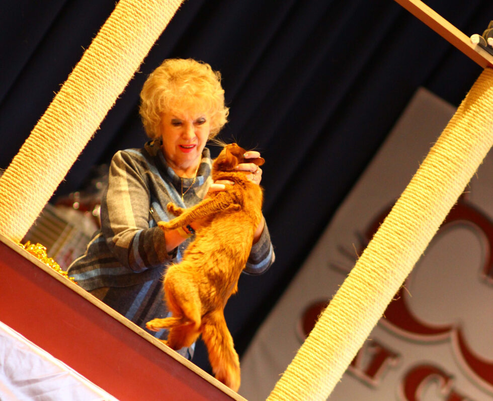 Cat Club Germany Cat Club Germany