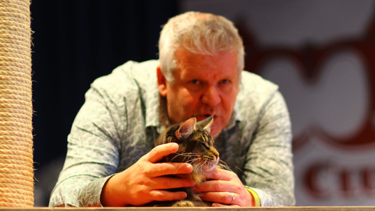 Cat Club Germany Cat Club Germany