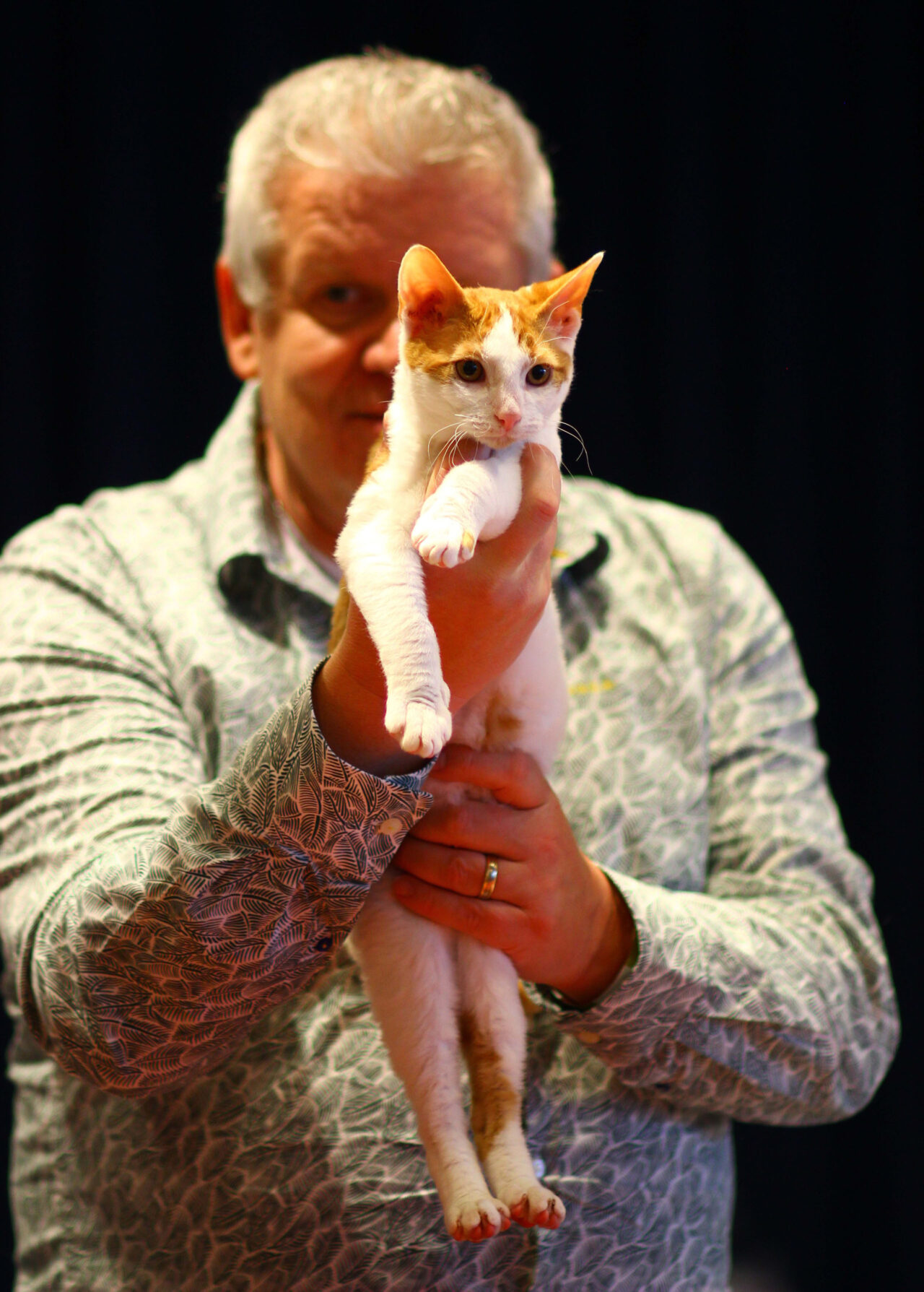 Cat Club Germany Cat Club Germany