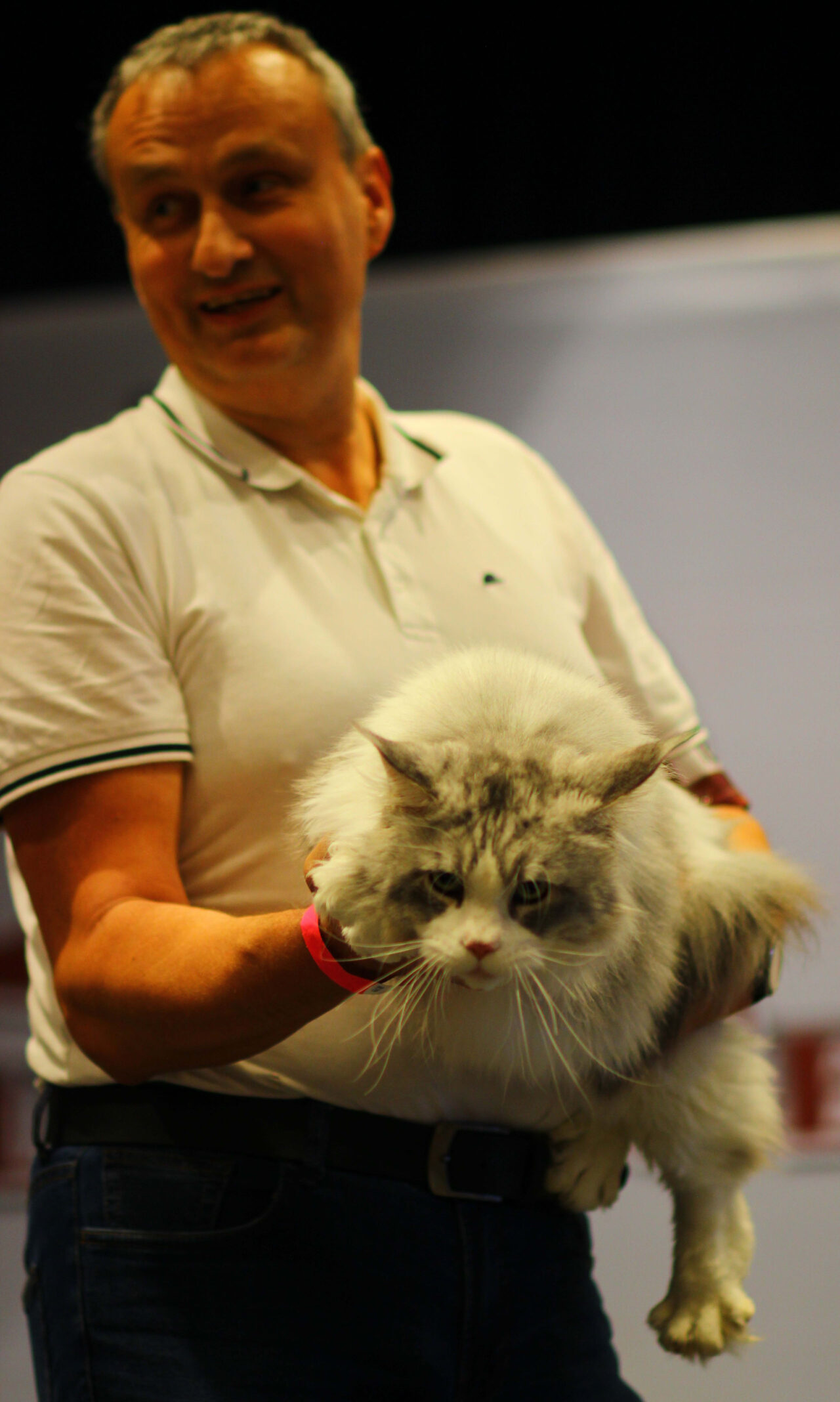 Cat Club Germany Cat Club Germany