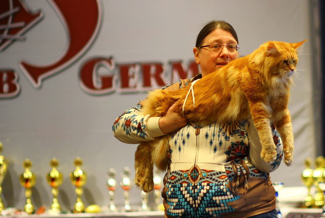 Cat Club Germany Cat Club Germany