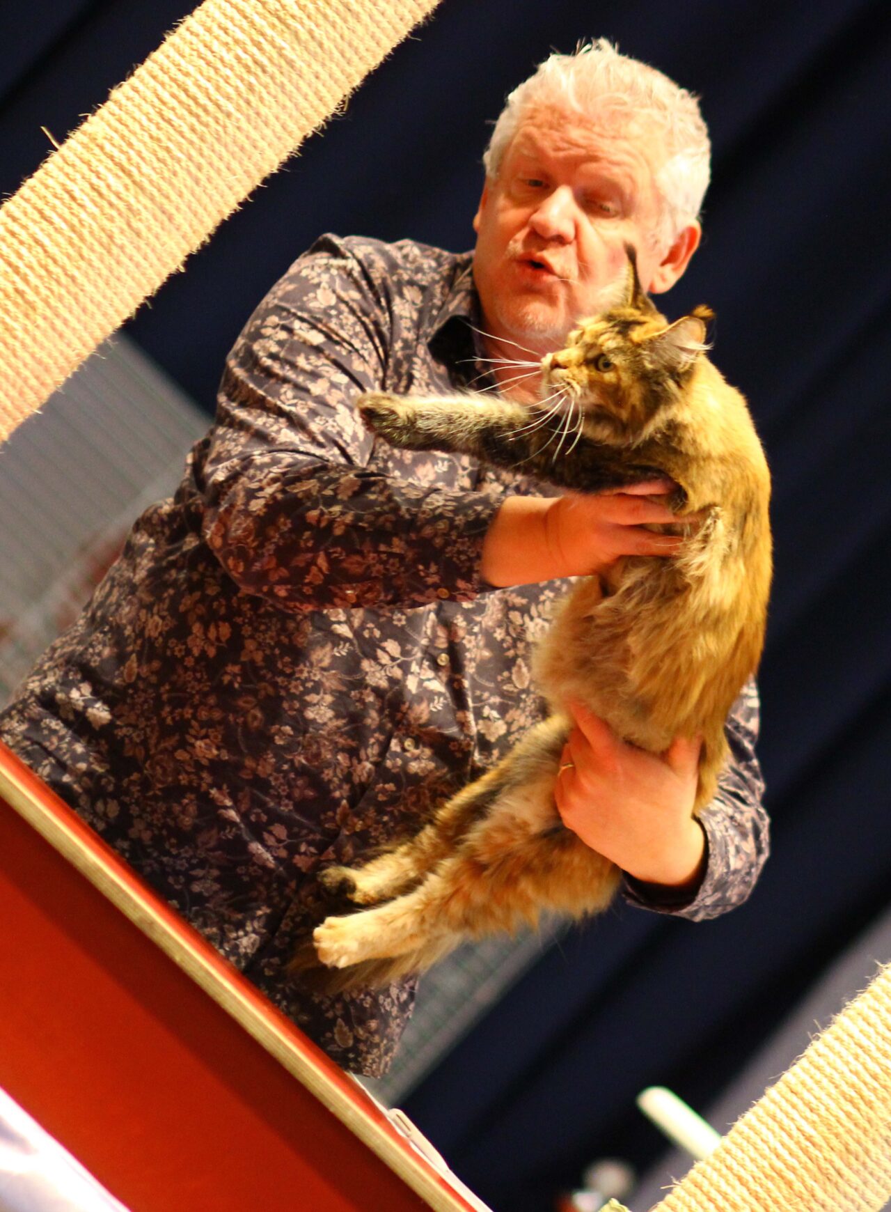 Cat Club Germany Cat Club Germany