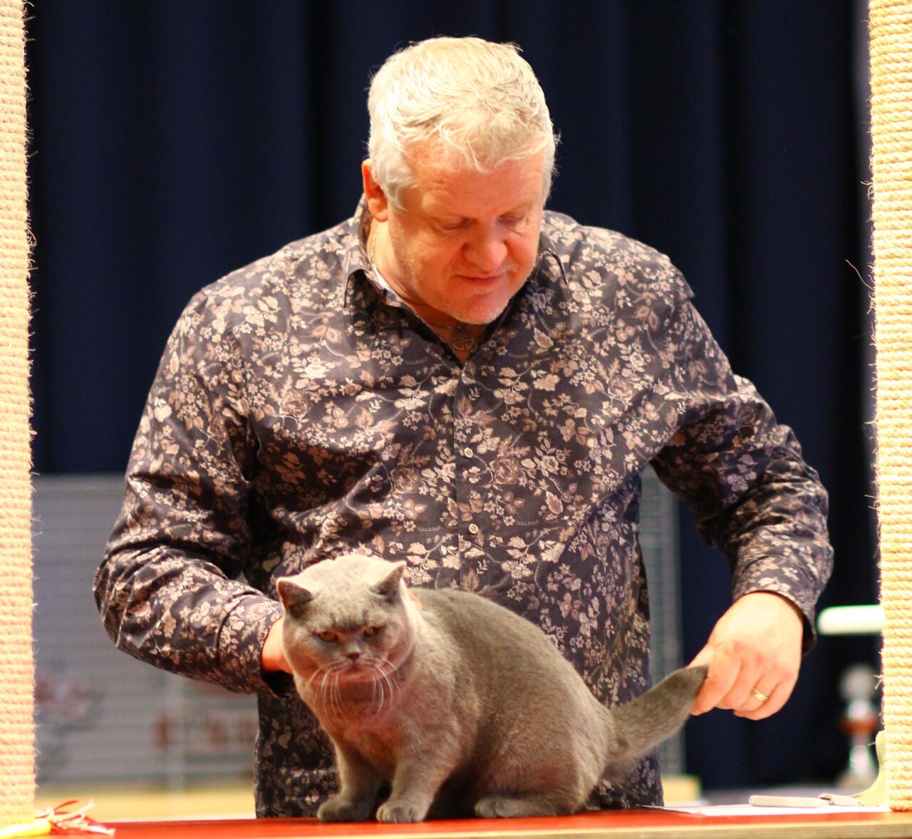 Cat Club Germany Cat Club Germany