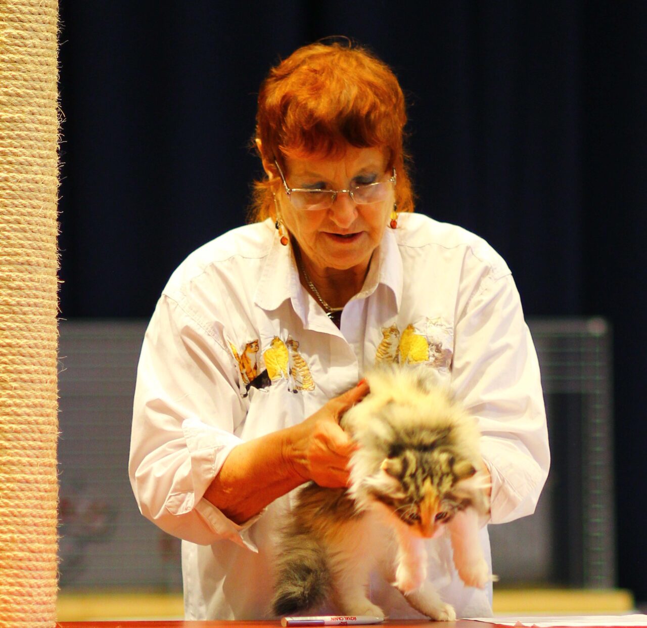 Cat Club Germany Cat Club Germany