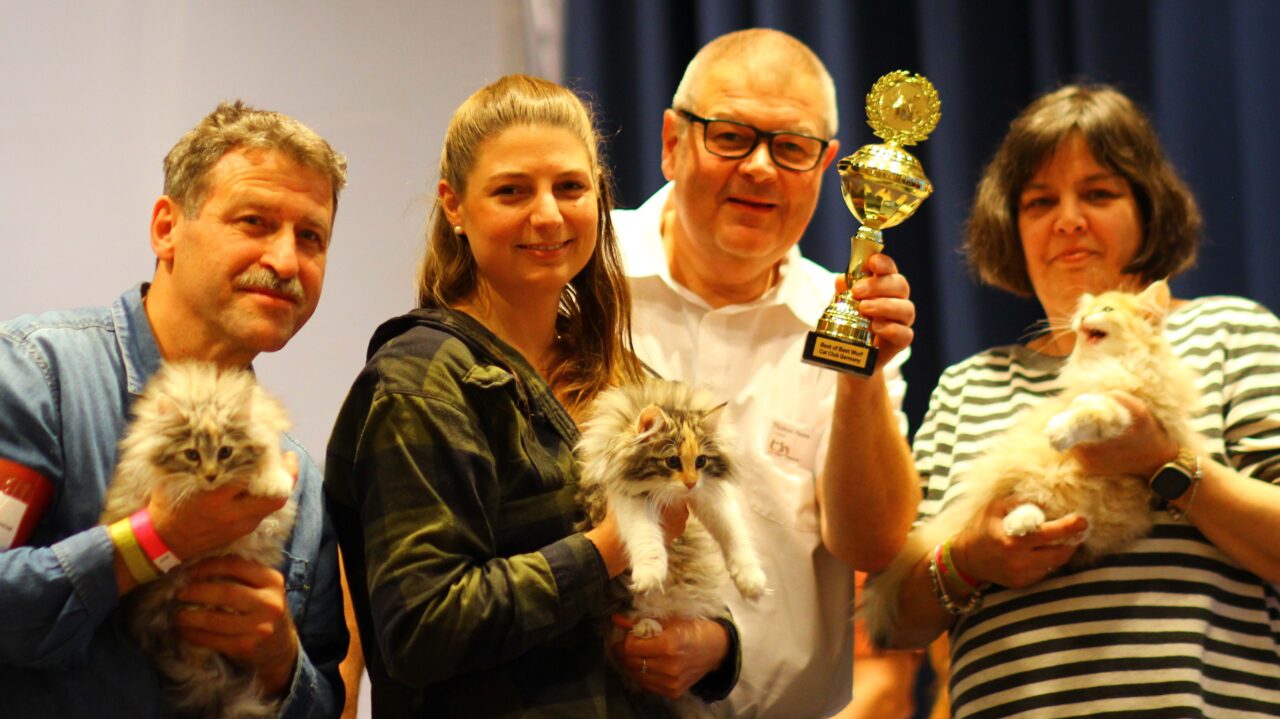 Cat Club Germany Cat Club Germany