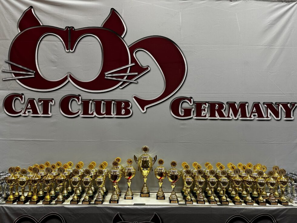Ergebnisse Cat Club Germany